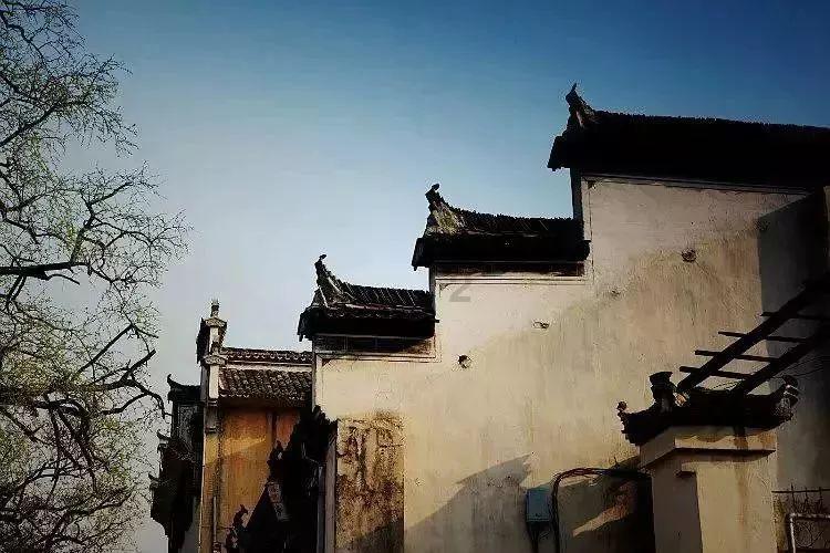 2023年西藏纪检监察工作综述之一